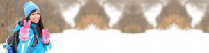 globetrotters-banner